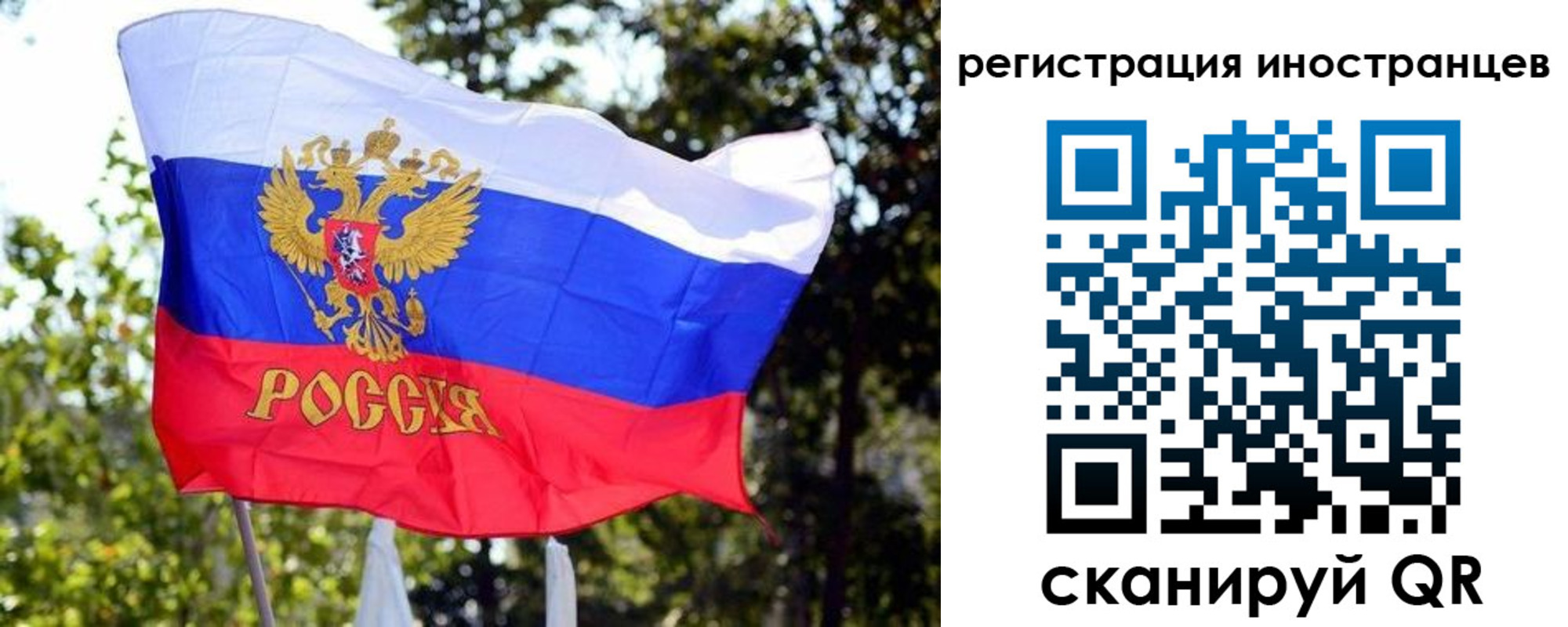 временная регистрация недорого в Сельцо